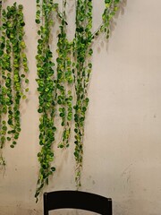Hanging leaf decorations on the wall of a house