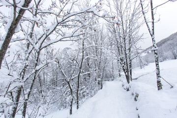 paysage sous la neige en hiver dans les Alpes à Vaujany