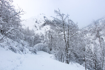 Naklejka premium paysage sous la neige en hiver dans les Alpes à Vaujany