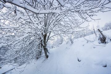 Obraz premium paysage sous la neige en hiver dans les Alpes à Vaujany