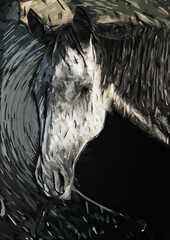 canvas art of the horse © ArtCommercial