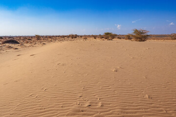 Scenic view of North Horr Sand Dune in Marsabit County, Kenya