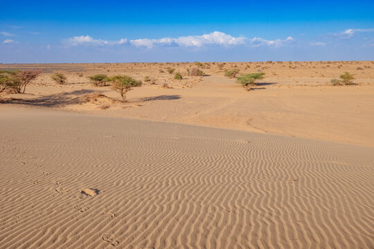 Scenic view of North Horr Sand Dune in Marsabit County, Kenya