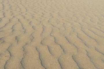 Fototapeta na wymiar Erosión arena, huellas del tiempo 