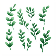 Watercolor Green Leaves Collection With Various Leaf Patterns