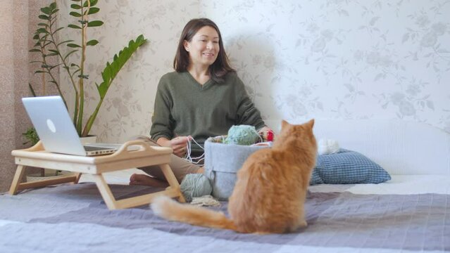 Woman is crocheting while watching movie on laptop. Learn to knit from video lessons and tutorials on Internet. Ginger cat is sitting near woman.