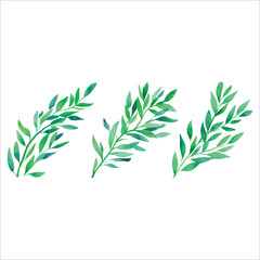 Obraz premium Watercolor Green Leaves Collection With Various Leaf Patterns