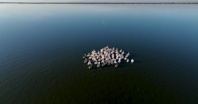 Eber lake and pelicans resting on the lake, Afyonkarahisar, Turkey