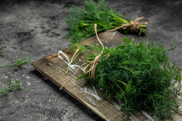 bunch fresh green dill. Fresh dill close up on dark background, preparation for freezing serving size organic healthy ething natural product portion. place for text