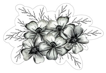 Black and White Hand Drawn Marigold Flower Composition Isolated on White Background. Marigold Flower Composition Drawn by Black Pencil.