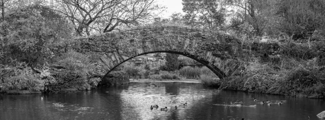Cercles muraux Pont de Gapstow Pont de Gapstow dans Central Park