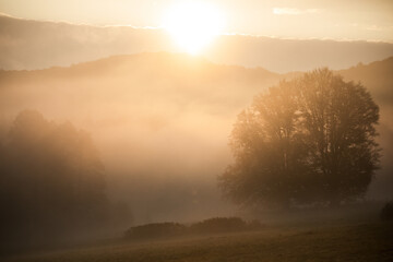 Naklejka na ściany i meble Bright sunlight through the fog at dawn. Early morning fog at sunrise. 