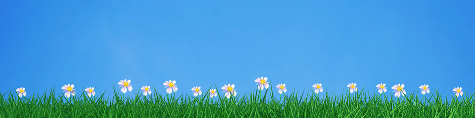green grass field with little white flowers blue sky background 3D rendering