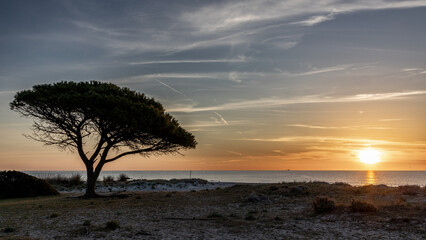 Der Zauber von Sardinien