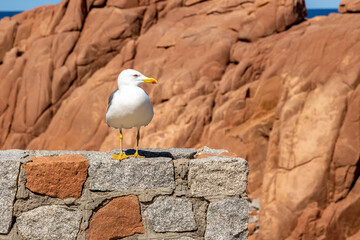 Sardinien, Perle im Mittelmeer