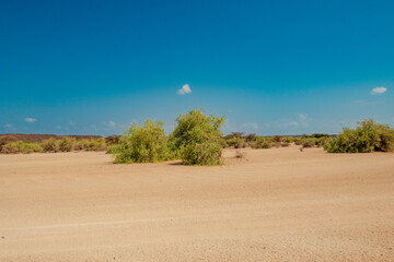 Fototapeta na wymiar The vast empty landscapes of Chalbi Desert in Marsabit County, Kenya