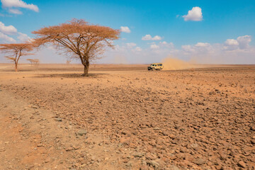 A tourist jeep on a dirt road amidst acacia trees in Chalbi Desert, Marsabit County, Kenya