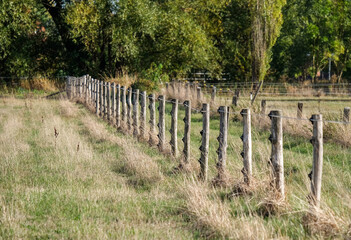 Konzept natürliche Landwirtschaft: Rustikaler Weidezaun an einem Feld neben einer grünen Wiese...