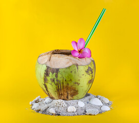 Summer tropical concept made of coconut fruit on yellow background
