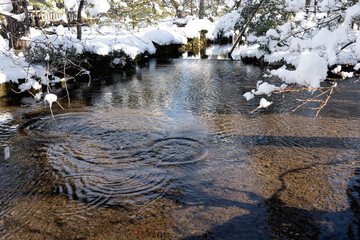 冬の北陸・金沢旅行で人気の雪が積もった兼六園