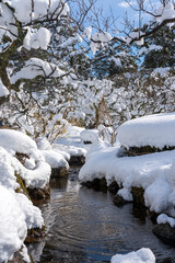 冬の北陸・金沢旅行で人気の雪が積もった兼六園