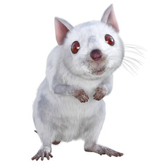 Weisse Maus, 3d rote Augen, png, tier, isoliert, nager, fell, haustier, transparenter  Hintergrund, cartoon 