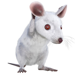 Weisse Maus, 3d rote Augen, png, tier, isoliert, nager, fell, haustier, transparenter  Hintergrund, cartoon 