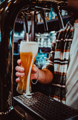 bartender's hands pouring craft beer from a tap into a glass in bar