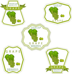 Sweet juicy tasty natural eco product grape