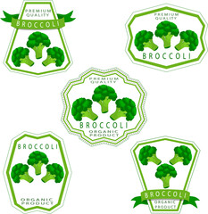 Sweet juicy tasty natural eco product broccoli