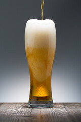 Cold Craft light Beer in a glass. Close up of a pint of beer
