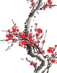 traditional chinese painting of flowers, plum blossom on white background.