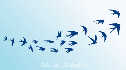 Flock of birds or Flock of swallow, swift bird. Silhouette of the birds in flight