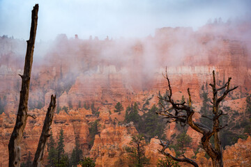 canyon of bryce covered in clouds and rain