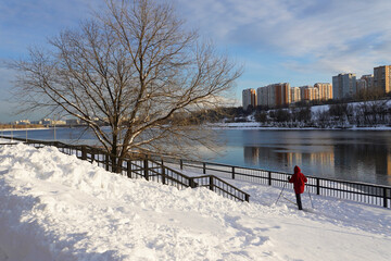 Woman skies in red jacket in the snowy park on clear winter day