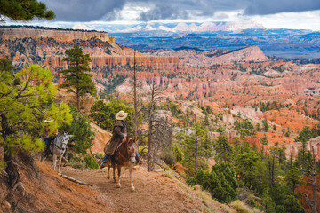 horsemen riding up the bryce canyon - obrazy, fototapety, plakaty