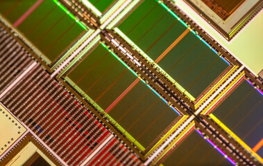 Silicon wafer with microchips used in electronics for the fabrication of integrated circuits.