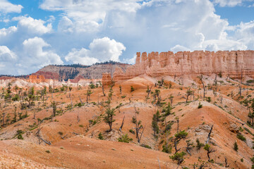 desert landscape with hoodoos at bryce canyon