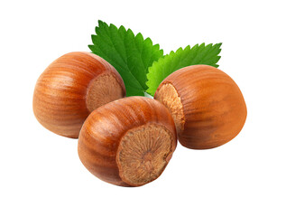 Hazelnuts with leaves