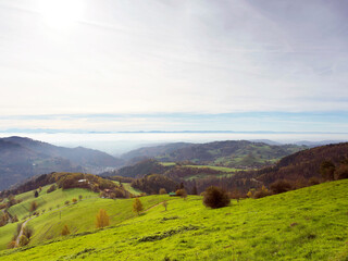 Schwarzwald Landschaft. Zeller Bergland mit guter Sicht nach Wiesental und Wehratal bis auf Jura, die Schweizer Alpenkette am Horizont