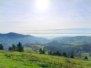 Schwarzwald Landschaft. Zeller Bergland mit guter Sicht nach Wiesental und Wehratal bis auf Jura, die Schweizer Alpenkette am Horizont