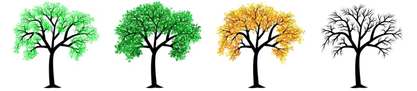Quatre arbres au feuillage variant les saisons