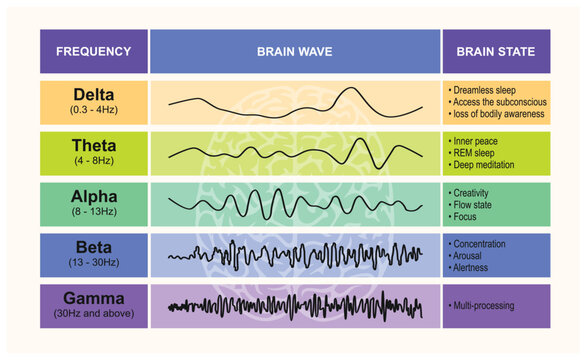 Brain waves Delta, Theta, Alpha, Beta, Gamma vector illustration chart, brain neurons activity study