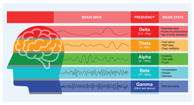 A digital illustration of different kinds of waveforms produced by brain activity. Human brain waves pattern