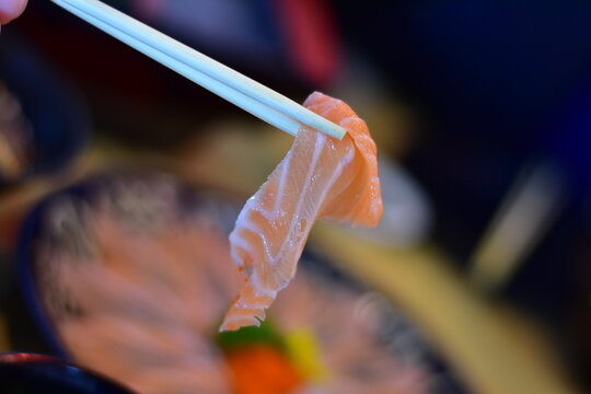 japanese cuisine sushi