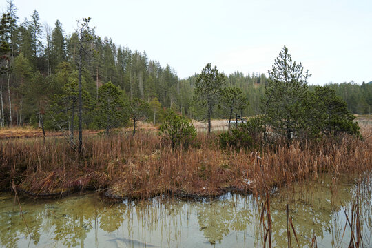 Rieder Bilder Durchsuchen 13,891 Archivfotos, und