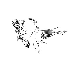 black and white drawing sketch of a fish with a transparent background