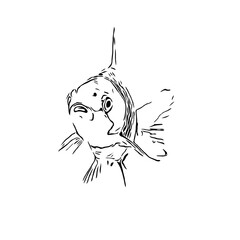 black and white drawing sketch of a fish with a transparent background
