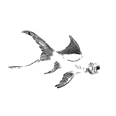 Obraz premium black and white drawing sketch of a fish with a transparent background