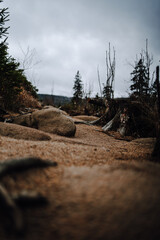 A sandy path along the shore of the Oderteich in the Harz Mountains in autumn. Hemmed in by fir and pine trees which are partly dead.